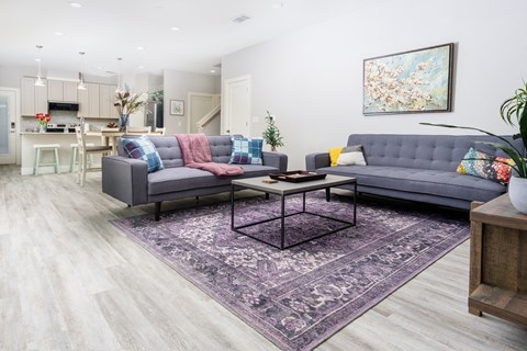 a living room with two couches and a coffee table